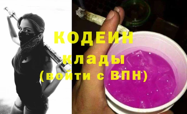 ГАЛЛЮЦИНОГЕННЫЕ ГРИБЫ Верея