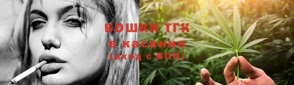 ГАЛЛЮЦИНОГЕННЫЕ ГРИБЫ Верея