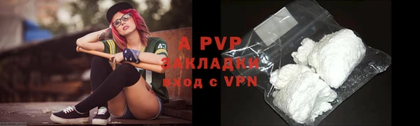 ГАЛЛЮЦИНОГЕННЫЕ ГРИБЫ Верея