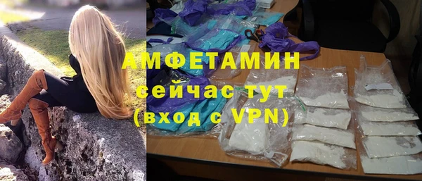 ГАЛЛЮЦИНОГЕННЫЕ ГРИБЫ Верея
