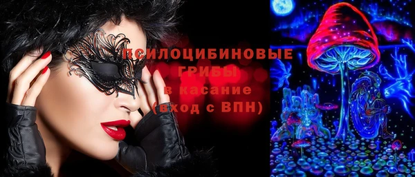 ГАЛЛЮЦИНОГЕННЫЕ ГРИБЫ Верея