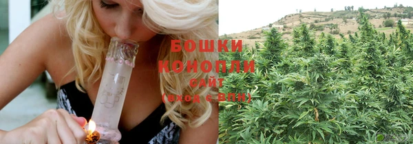ГАЛЛЮЦИНОГЕННЫЕ ГРИБЫ Верея