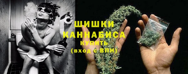 ГАЛЛЮЦИНОГЕННЫЕ ГРИБЫ Верея