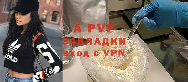 ГАЛЛЮЦИНОГЕННЫЕ ГРИБЫ Верея