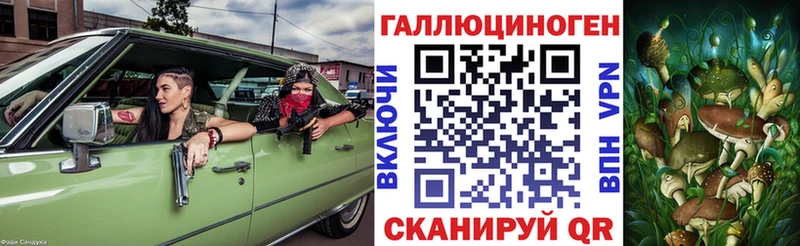 Галлюциногенные грибы Psilocybine cubensis Электрогорск